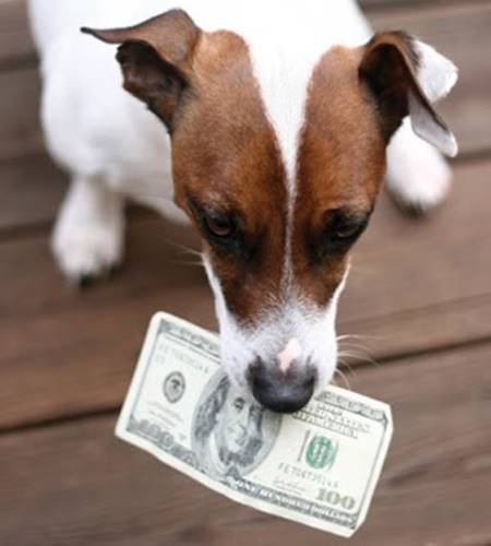 dog-money.jpg