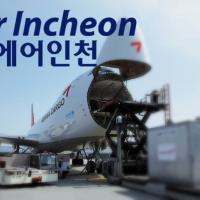 아시아나 화물사업, 에어인천 품에 … 대형 화물 항공사로