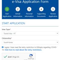 에티오피아 입국 온라인 비자(e-Visa) 신청 방법