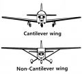 Cantilever wing.jpg